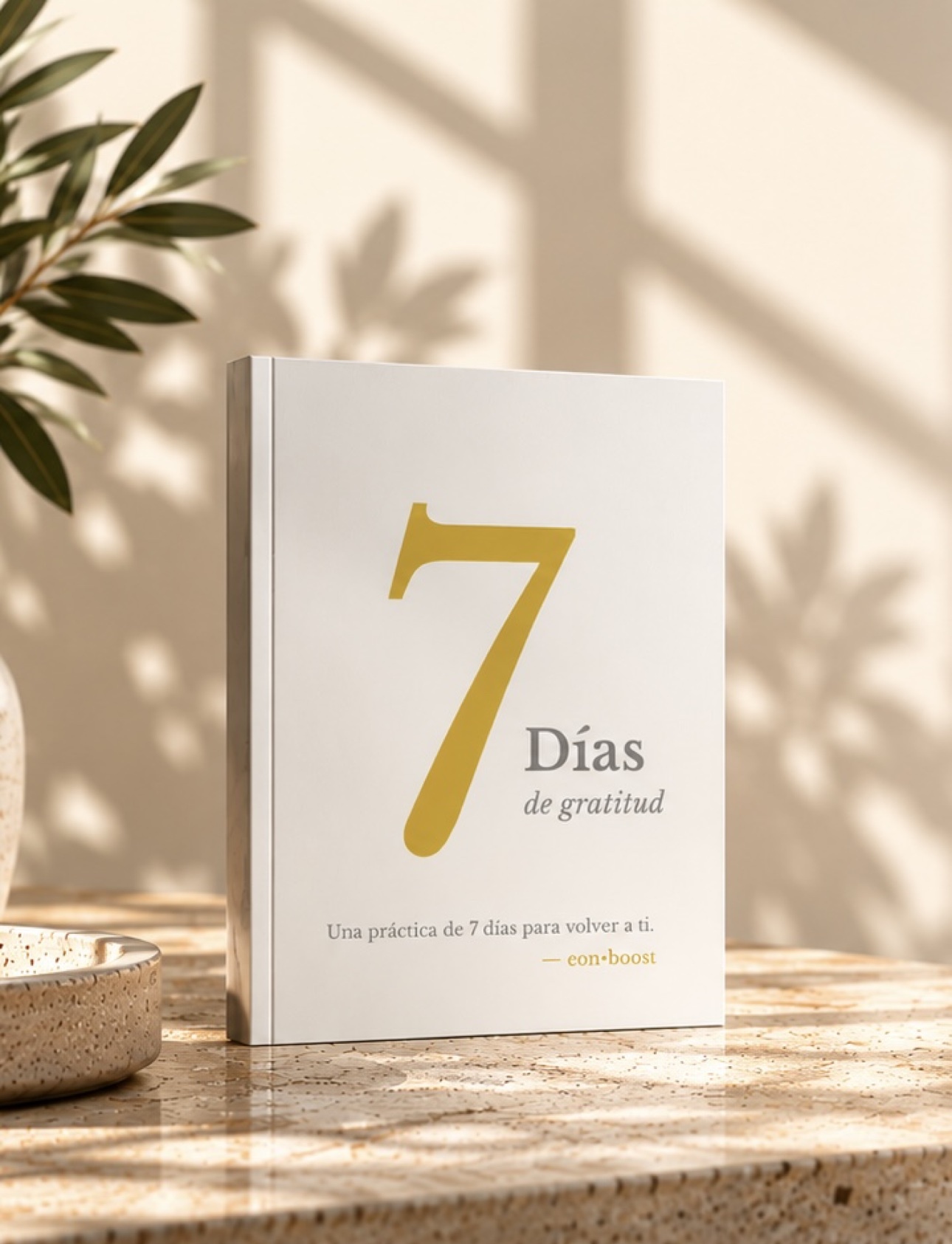 El libro 7 Días de gratitud sobre un bloque de piedra, con sombras de hojas en la pared